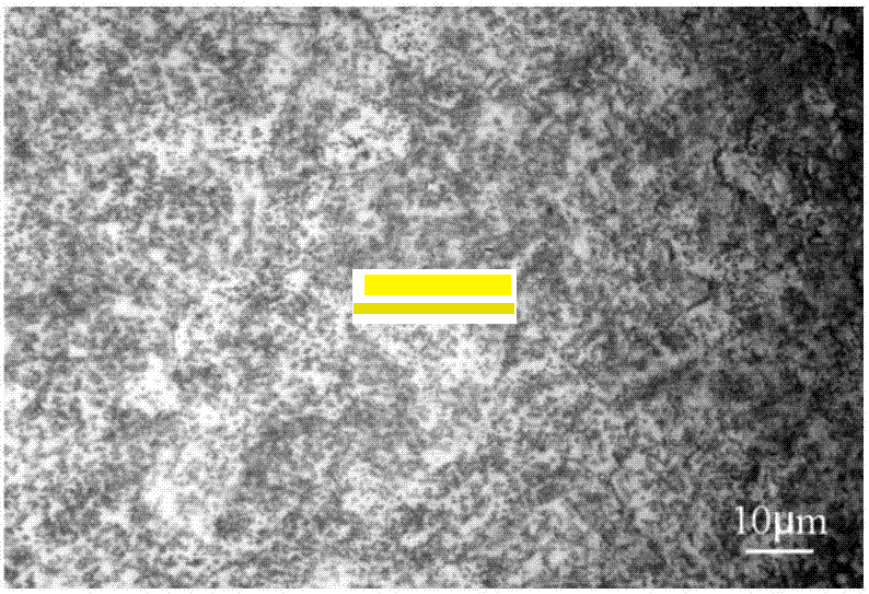 末端淬透性試驗(yàn)