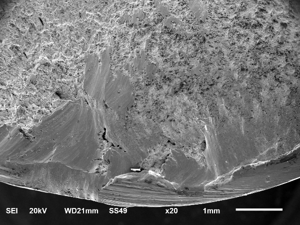 斷口A區(qū)形貌  斷口A區(qū)形貌